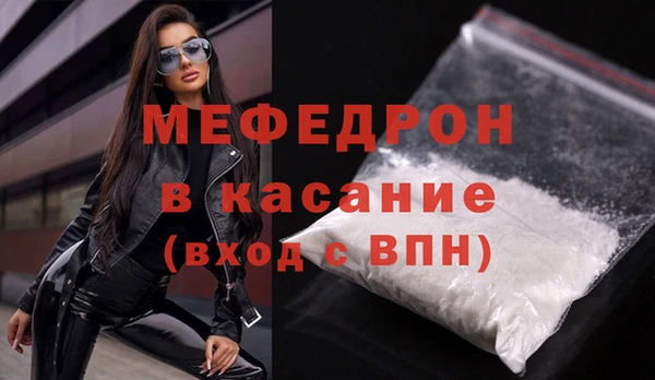 индика Бородино