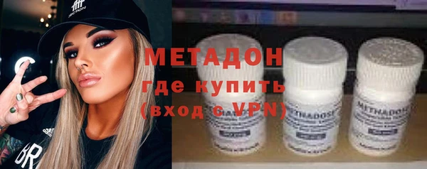 индика Бородино