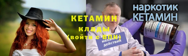 индика Бородино