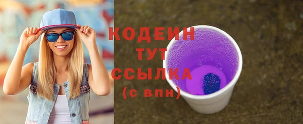индика Бородино
