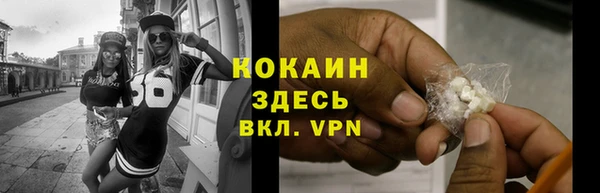 индика Бородино