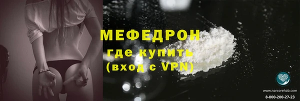 индика Бородино