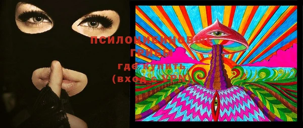 индика Бородино