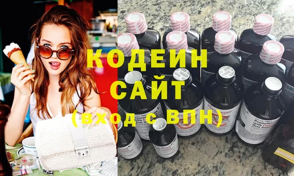 индика Бородино