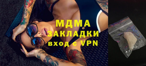 индика Бородино