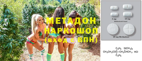 индика Бородино